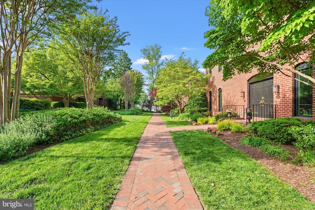 3233 Ellicott St NW, Washington, DC 20008 - view of home's community with a yard