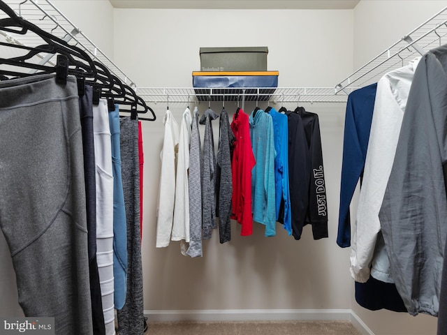 spacious closet featuring carpet flooring