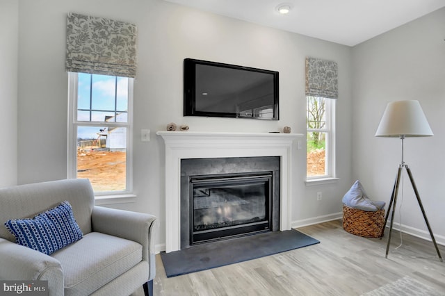 living room with a glass covered fireplace, wood finished floors, and a healthy amount of sunlight
