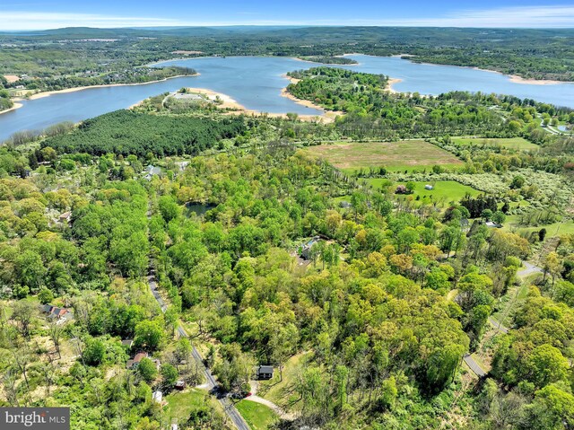 bird's eye view featuring a water view and a wooded view