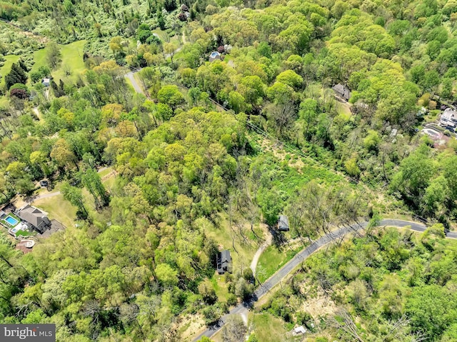 bird's eye view with a forest view