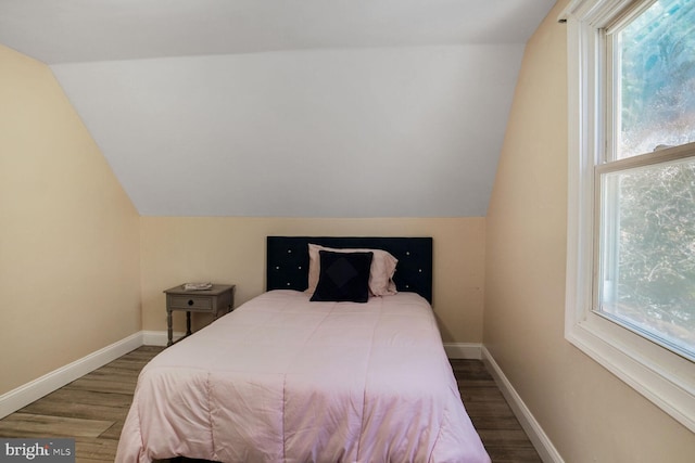 bedroom featuring multiple windows and wood finished floors