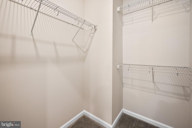walk in closet featuring dark carpet