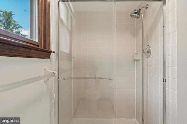 4 Sunflower Ct, Newtown, PA 18940 - bathroom with a shower stall
