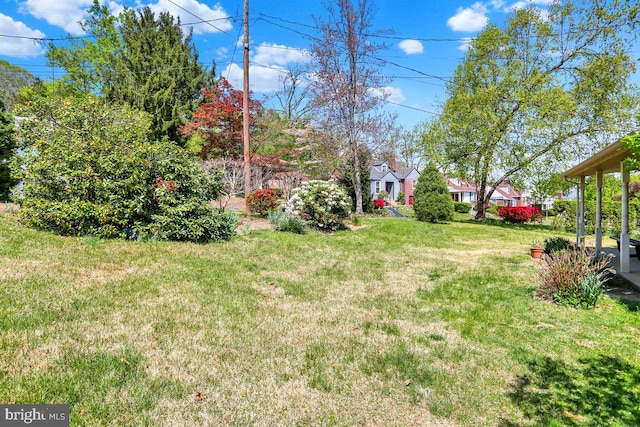 view of yard