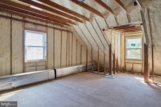 attic with a healthy amount of sunlight