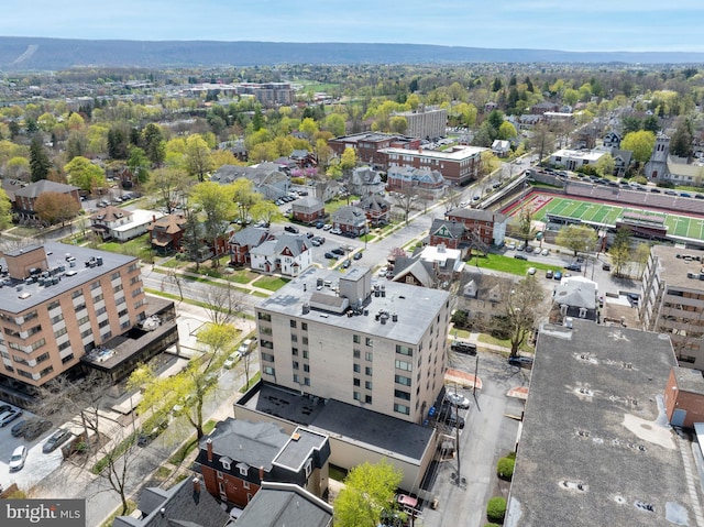drone / aerial view