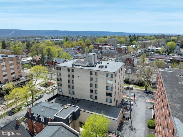 bird's eye view