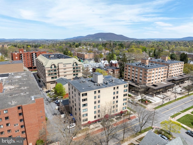 birds eye view of property with a mountain view