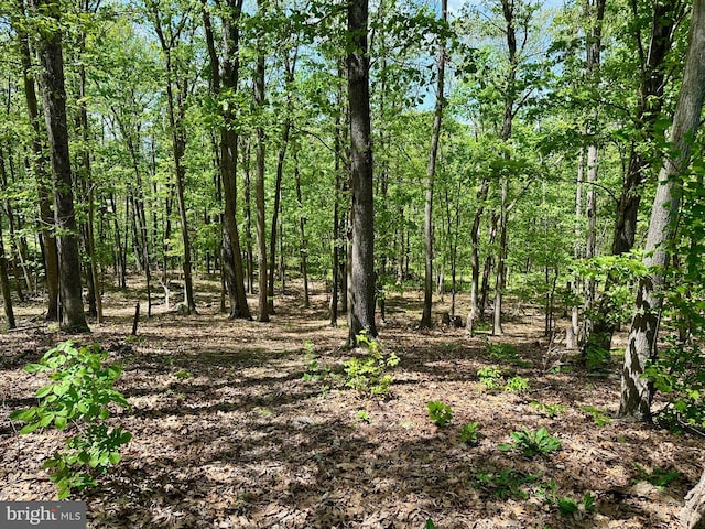 view of landscape