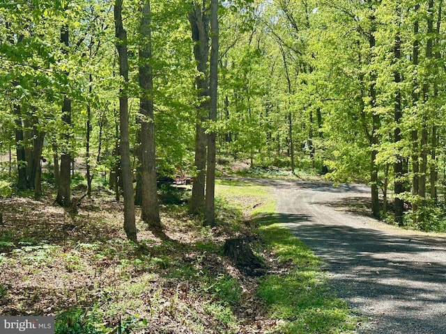 view of street featuring a view of trees