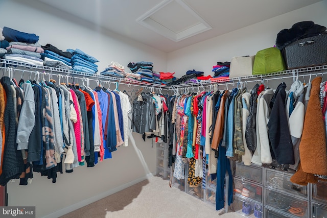 spacious closet featuring attic access and carpet