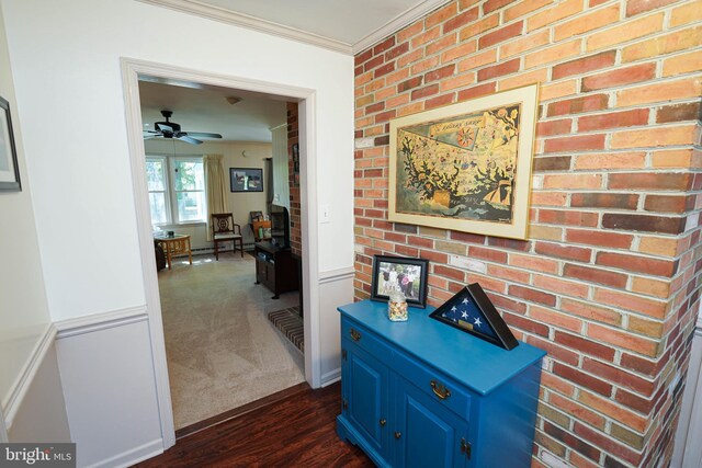corridor with crown molding and dark wood-type flooring