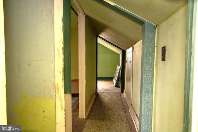 4398 S Bowers Rd, Milford, DE 19963 - hall with vaulted ceiling