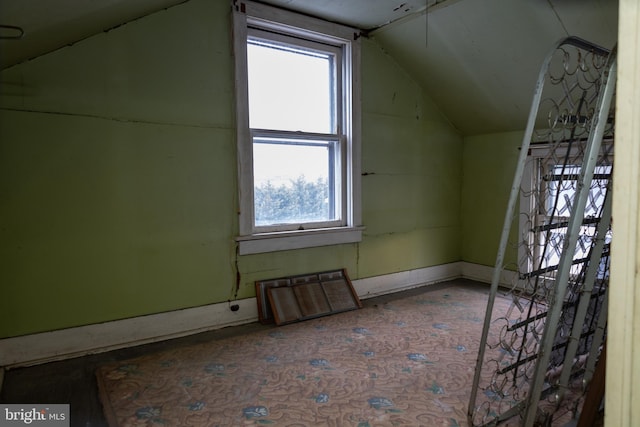 4398 S Bowers Rd, Milford, DE 19963 - bonus room with a healthy amount of sunlight and vaulted ceiling