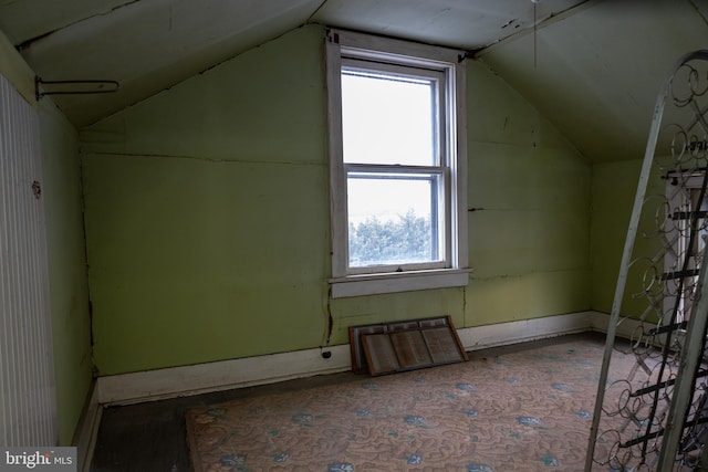 4398 S Bowers Rd, Milford, DE 19963 - additional living space with vaulted ceiling