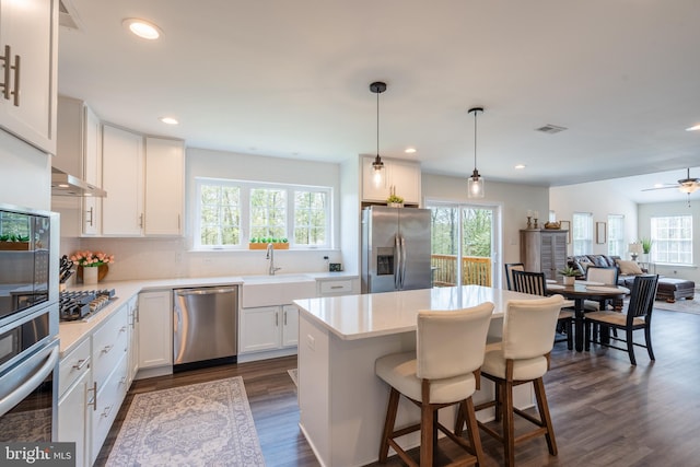 131 Chinaberry Way, Kunkletown, PA 18058 - kitchen with white cabinets, dark wood-style flooring, appliances with stainless steel finishes, a sink, and light countertops