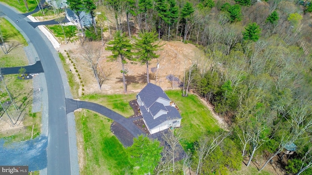131 Chinaberry Way, Kunkletown, PA 18058 - birds eye view of property