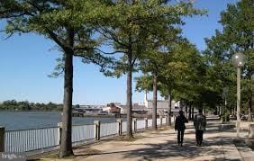 490 M Street Sw W-705 & 709, Washington, DC 20024 - view of community featuring a water view