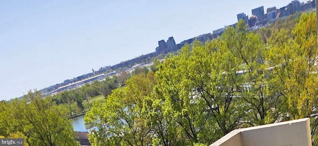 490 M Street Sw W-705 & 709, Washington, DC 20024 - view of mountain background