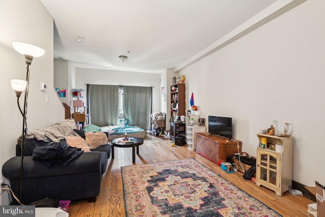 living room featuring wood finished floors