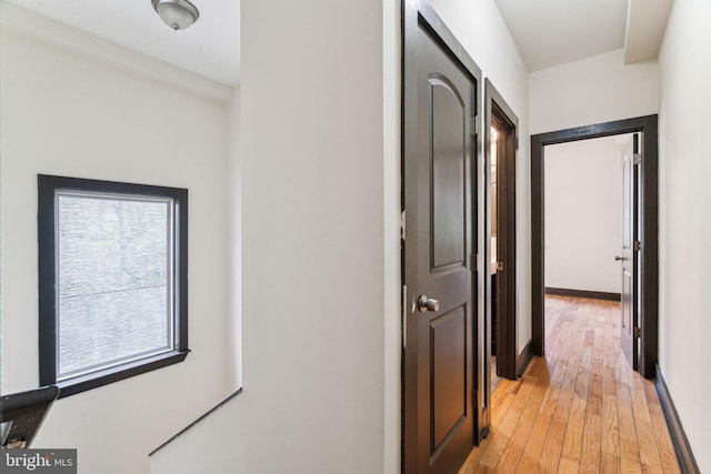 hallway with light wood-type flooring