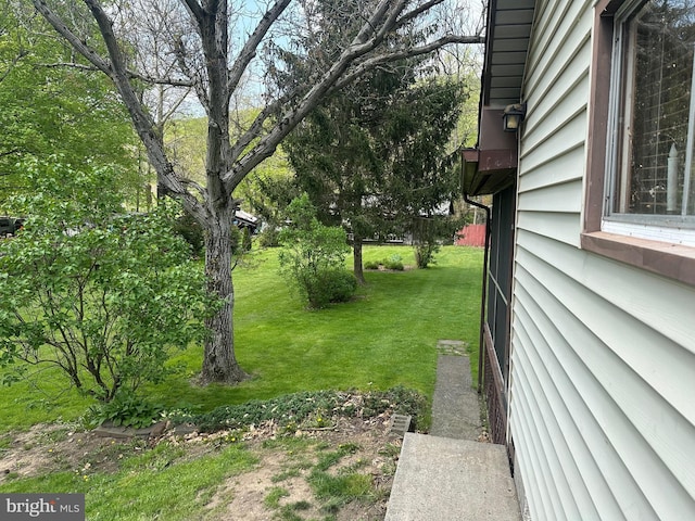 view of yard