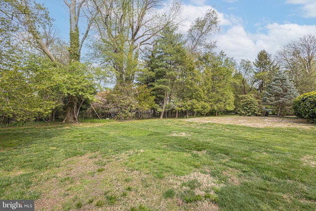 view of yard