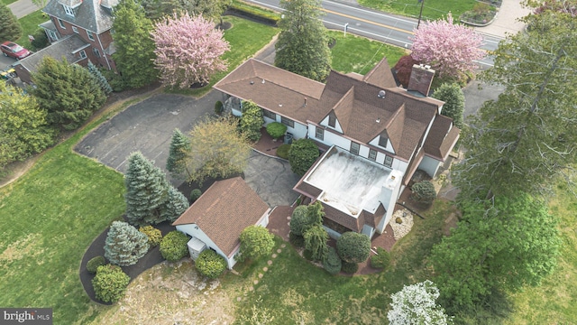 bird's eye view