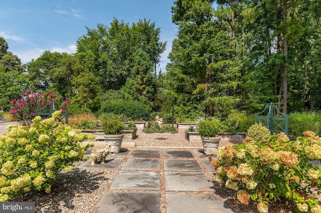 8620 Bozman Neavitt, Saint Michaels, MD 21663 - view of surrounding community