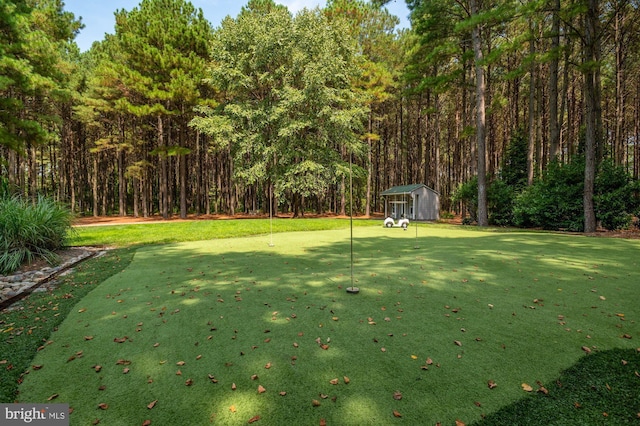 8620 Bozman Neavitt, Saint Michaels, MD 21663 - view of yard with a wooded view and an outdoor structure