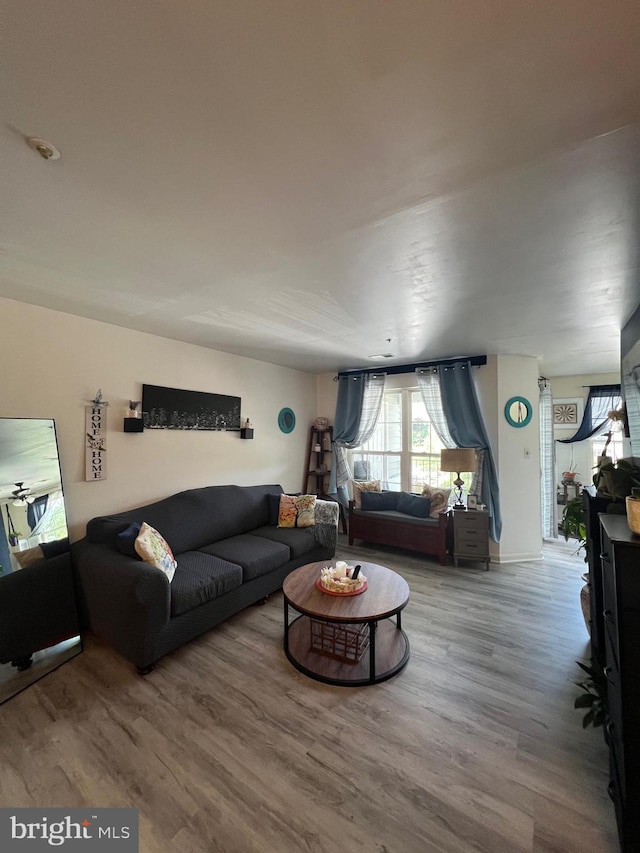 living area with wood finished floors