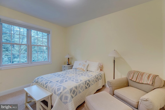22758 Red Bay Ln, Milton, DE 19968 - bedroom with baseboards and carpet flooring