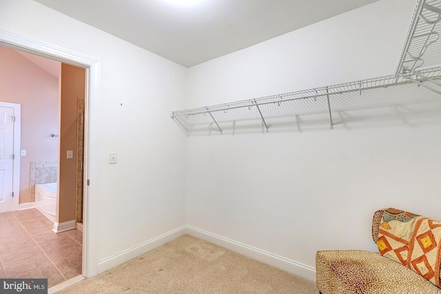 22758 Red Bay Ln, Milton, DE 19968 - spacious closet featuring light colored carpet