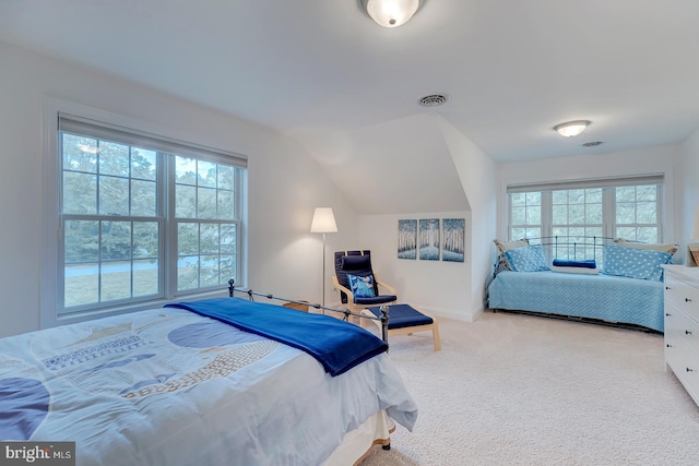 22758 Red Bay Ln, Milton, DE 19968 - bedroom with carpet floors, vaulted ceiling, and baseboards