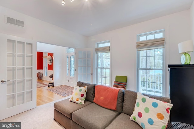 22758 Red Bay Ln, Milton, DE 19968 - living room with healthy amount of natural light and wood finished floors
