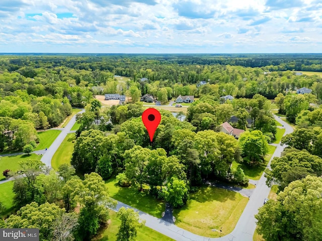 22758 Red Bay Ln, Milton, DE 19968 - aerial view of a forest