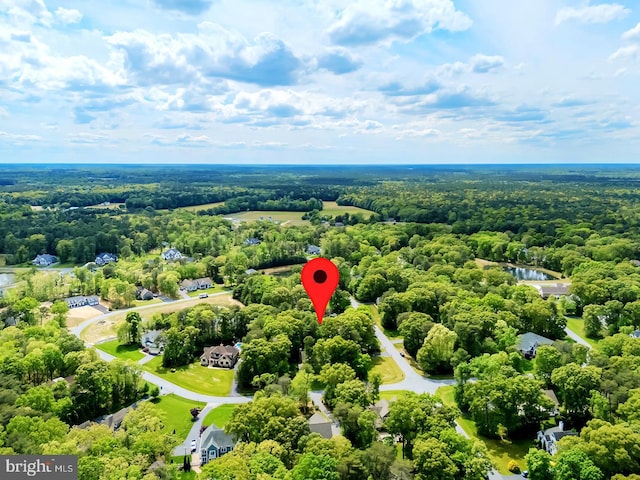 22758 Red Bay Ln, Milton, DE 19968 - aerial view of a heavily wooded area