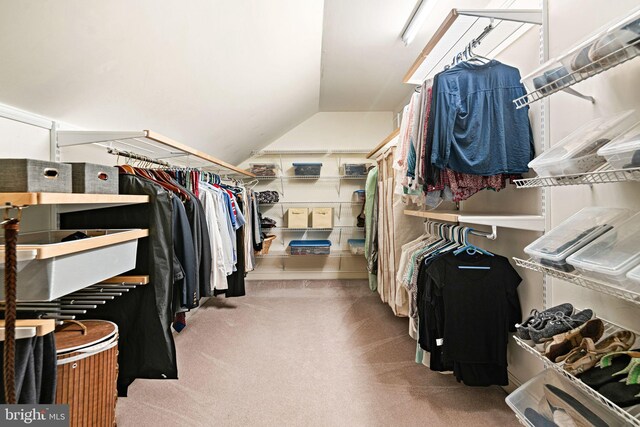 spacious closet featuring vaulted ceiling and carpet