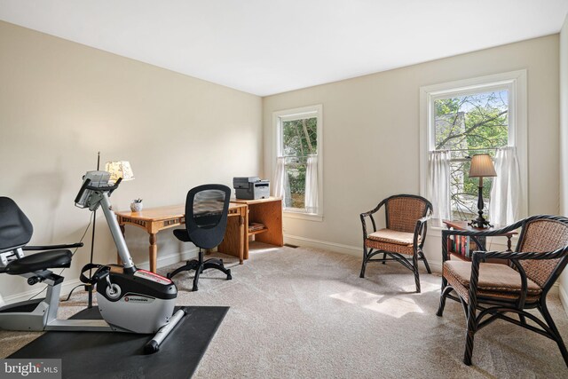 carpeted office with baseboards and a wealth of natural light