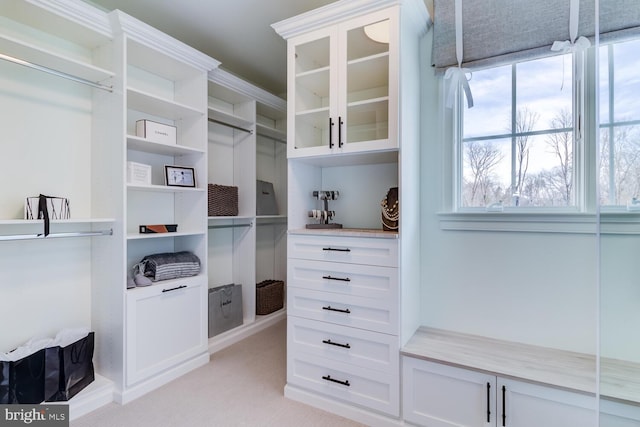 916 Prescott, Berwyn, PA 19312 - spacious closet featuring light carpet