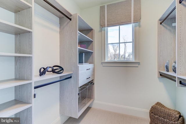 916 Prescott, Berwyn, PA 19312 - walk in closet with carpet flooring