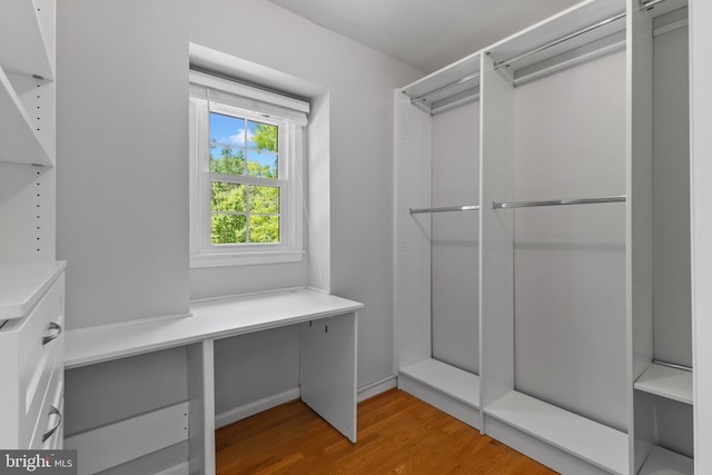 spacious closet featuring light wood-style flooring