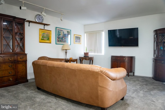 carpeted living room featuring rail lighting