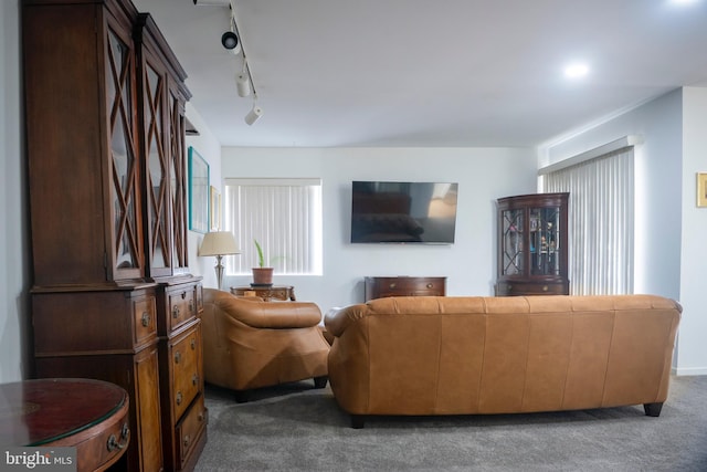 carpeted living area with track lighting