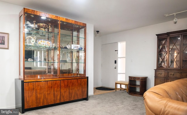living room featuring carpet