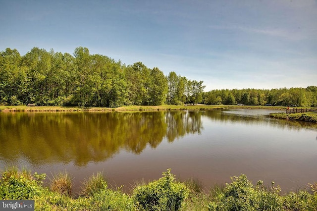 134 Ascot Ct, Bear, DE 19701 - water view with a heavily wooded area