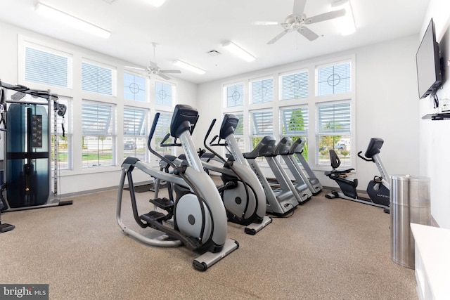 912 Moorings Cir Unit 8, Stevensville, MD 21666 - workout area with plenty of natural light, ceiling fan, and carpet flooring