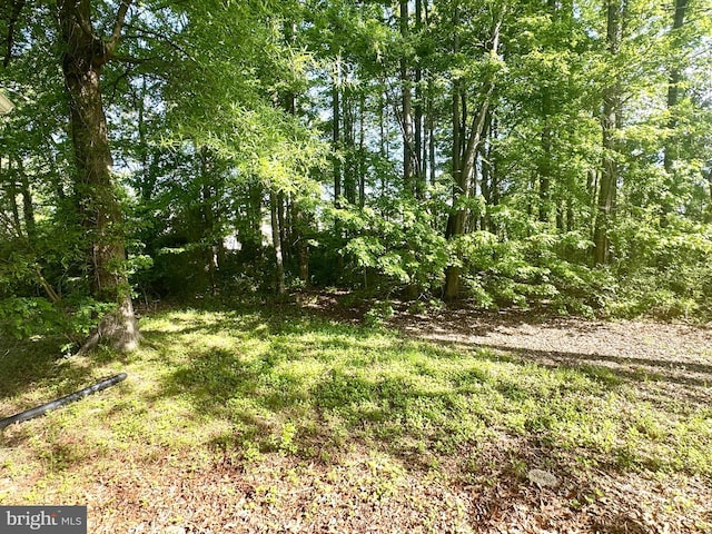 17129 6th St, King George, VA 22485 - view of nature