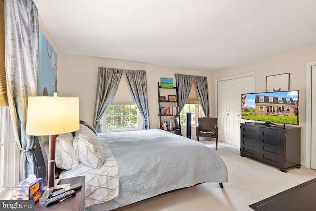 bedroom featuring carpet floors and a closet